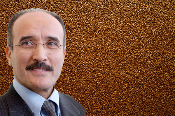 سيد علي لبيب