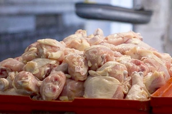 حجز وإتلاف أزيد من قنطار دجاج فاسد بتيزي وزو