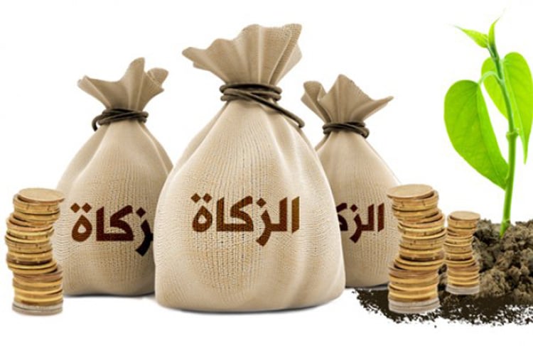 حتمية رقمنة الزكاة وإشراك المؤسسات الاقتصادية فيها