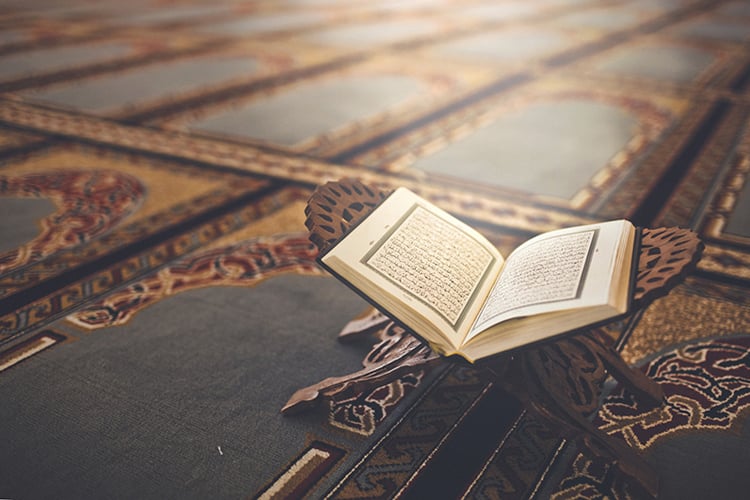 السلولية المعاصرة على خطى السلولية الأولى!