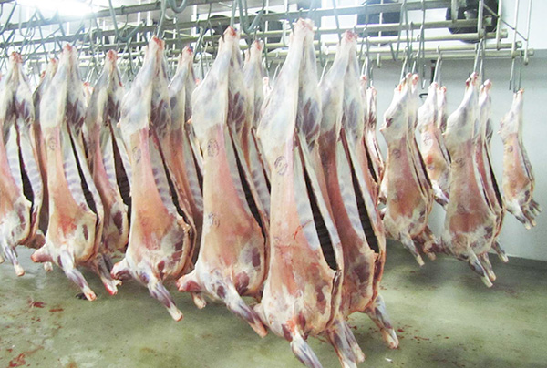 Halal meat to be imported from 5 countries to break prices in Ramadan ...