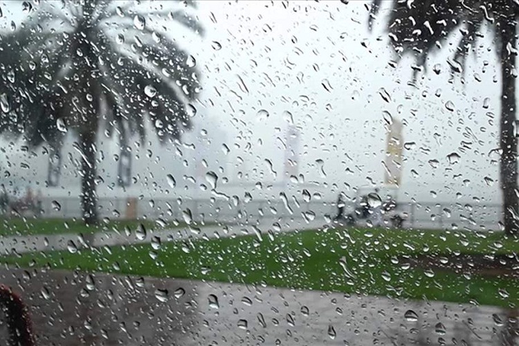 نشرية خاصة: أمطار رعدية ورياح عبر هذه الولايات