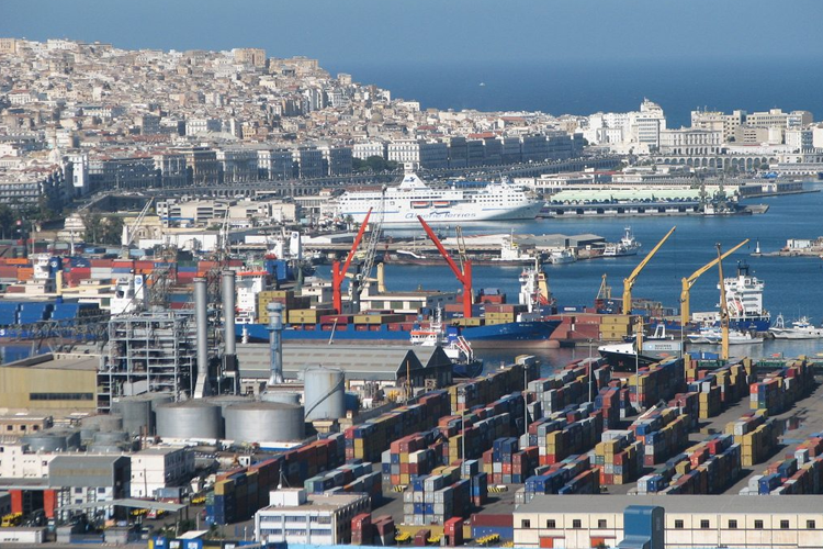 10 آلاف لتر من زيت الزيتون موجهة للتصدير.. قفزة نوعية وإضافة للإقتصاد الوطني