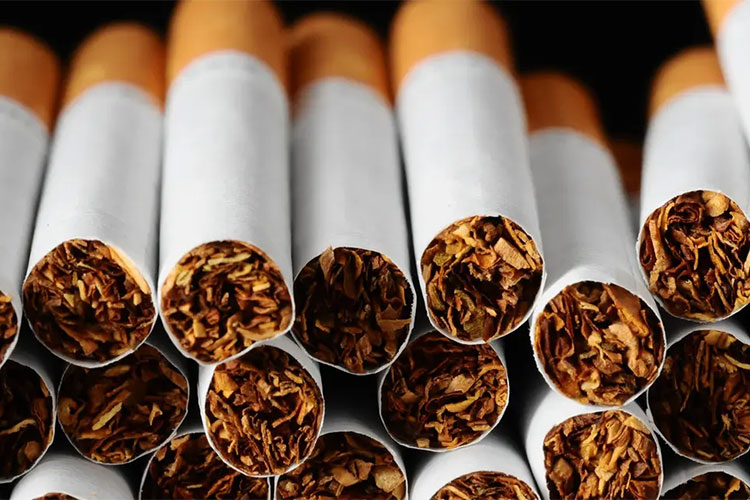 cigarette prices egypt 2025 Philip Morris Egypt Updates Prices