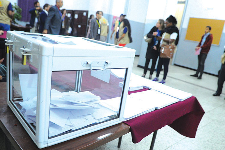 الانتخابات المحلية