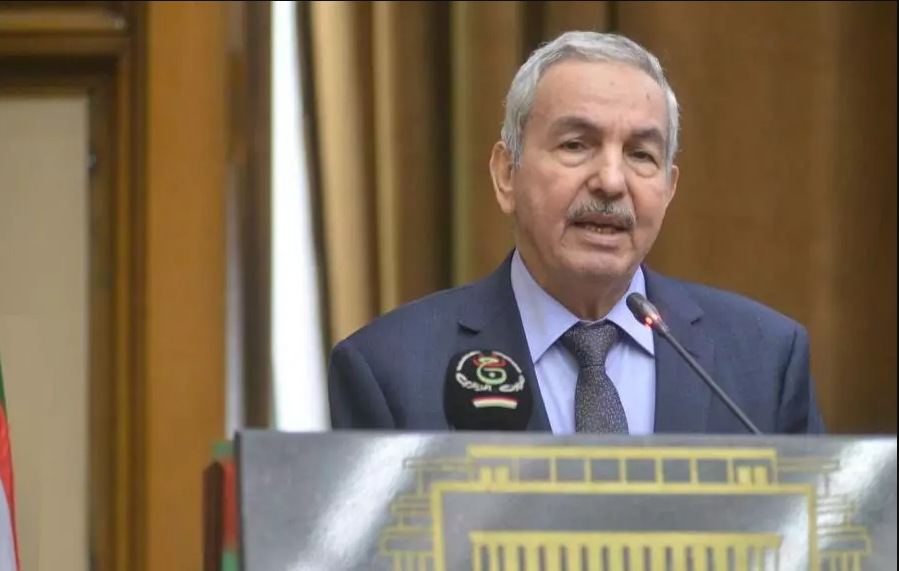 رئيس المجلس الأعلى للغة العربية: علينا إجراء مصالحة مع لغتنا الأم