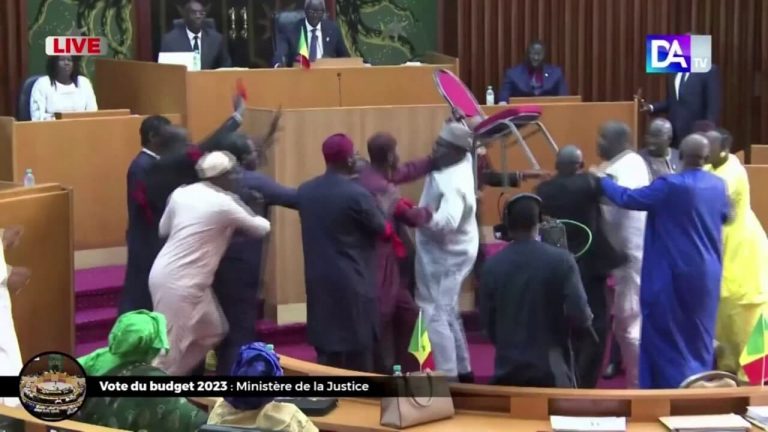 بالفيديو.. معركة بالأيدي والكراسي في برلمان السنغال بسبب الرئيس