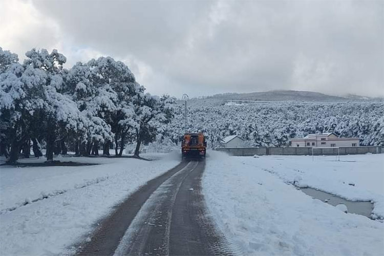 الجزائر – ثلوج وأمطار مصحوبة برياح قوية على عدة ولايات – الشروق أونلاين