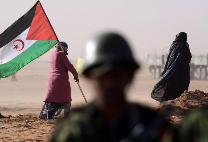 لا حل للقضية الصحراوية إلا عن طريق تقرير المصير