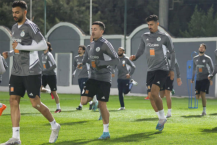 Federation of Algerian Football Begins Preparations for AFCON 2024