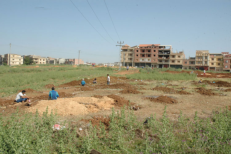 Algeria "Retrieval Of All State Property And Real Estate By Force Of