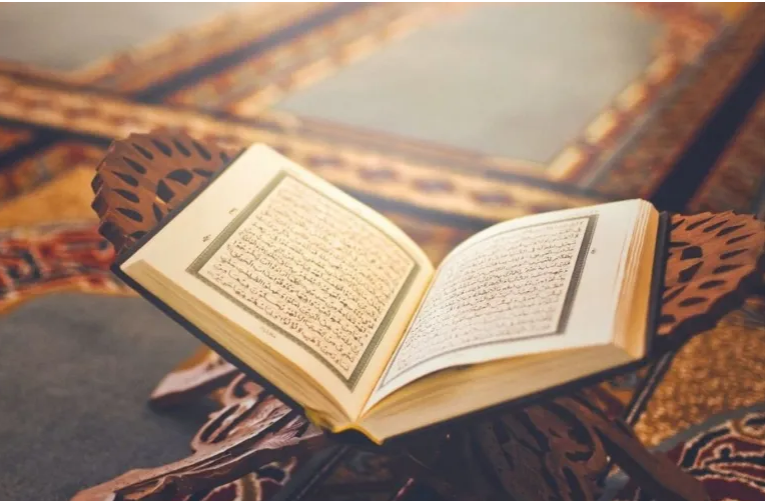 البقاء للأصلح