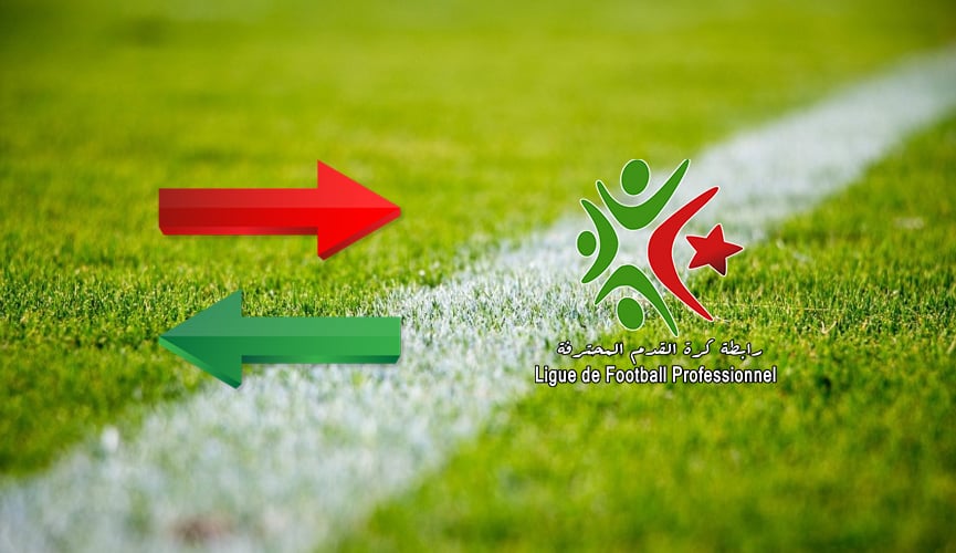 عصافير نادرة تغرد دون فرق ولا مستقبل من دون لاعبين شباب