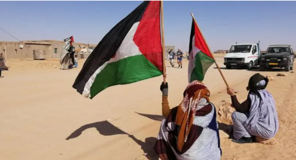 المخرج الأمريكي كريستوفر نولان… آخر المُوَرَّطِين في الصحراء الغربية!