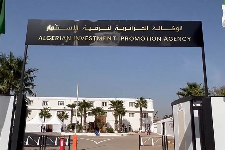 رسميا.. التنازل عن العقارات للمستثمرين يدخل حيز التنفيذ