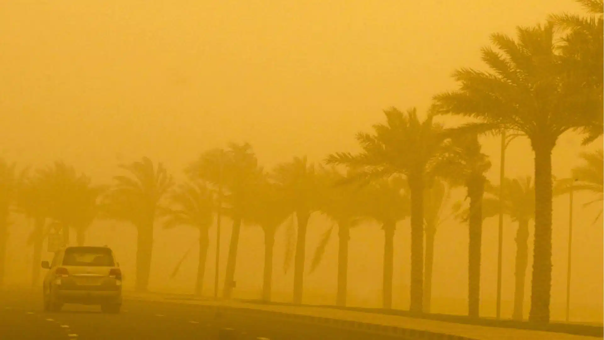 Météo Algérie: Vents violents et tempêtes de sables dans plusieurs wilayas