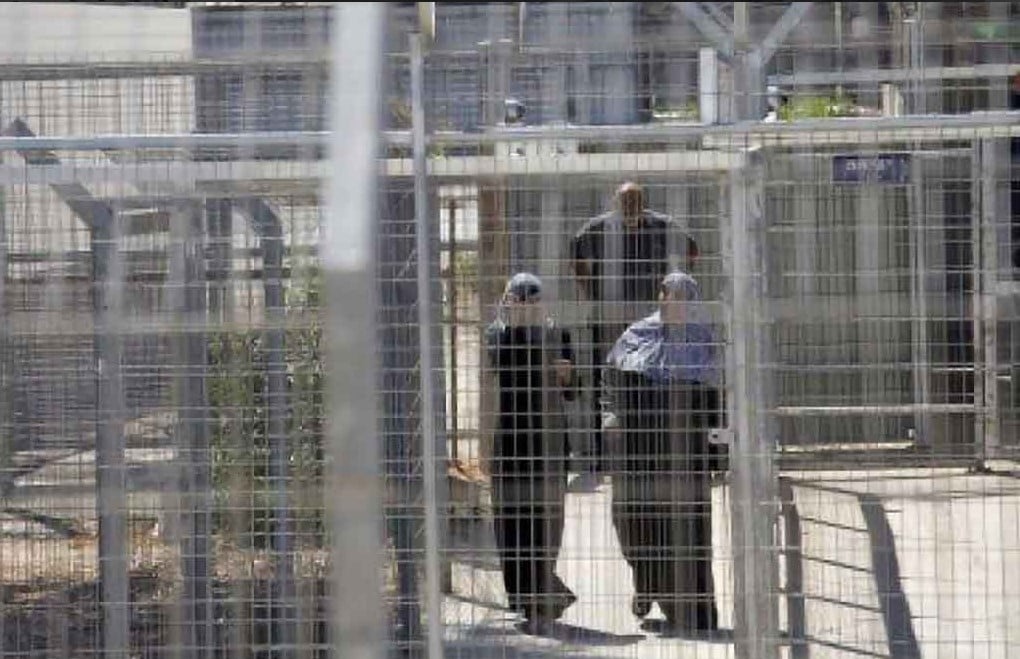 تقرير كارثي عن أسيرات الدامون.. هذا ما يفعله الاحتلال بالحرائر الفلسطينيات!