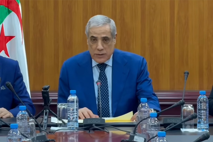 العرباوي: هذه رؤية رئيس الجمهورية الاستراتيجية للتنمية