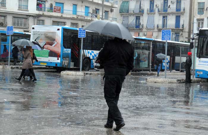 تنبيه من المستوى الثاني: أمطار غزيرة جدا عبر 32 ولاية إلى غاية الخميس