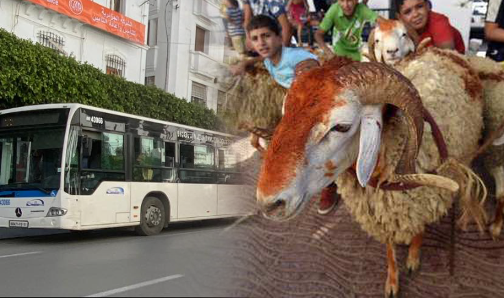 هذا هو برنامج النقل الخاص بعيد الأضحى