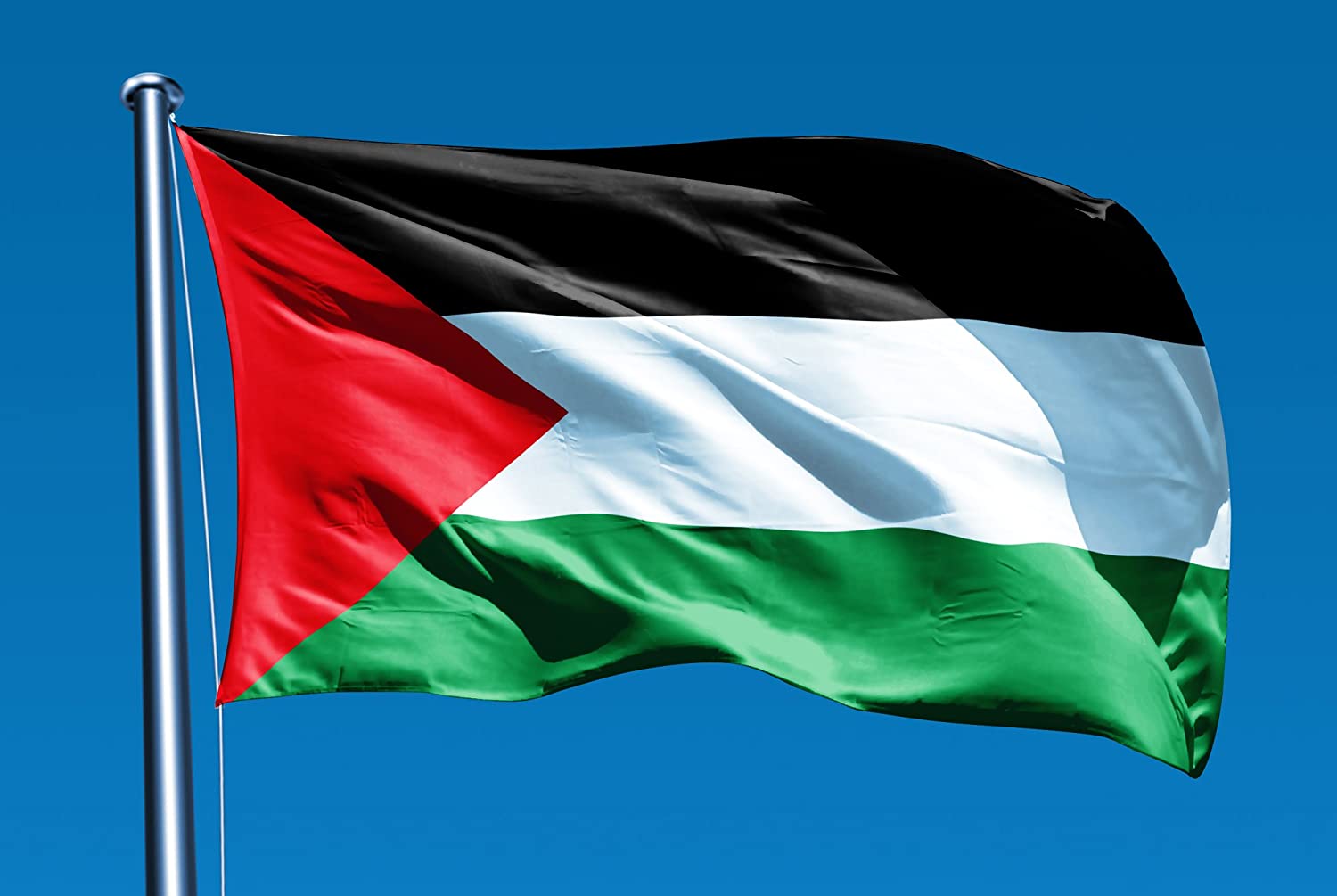الجزائر تنجح في تعزيز مشاركة دولة فلسطين في منظمة الصحة العالمية
