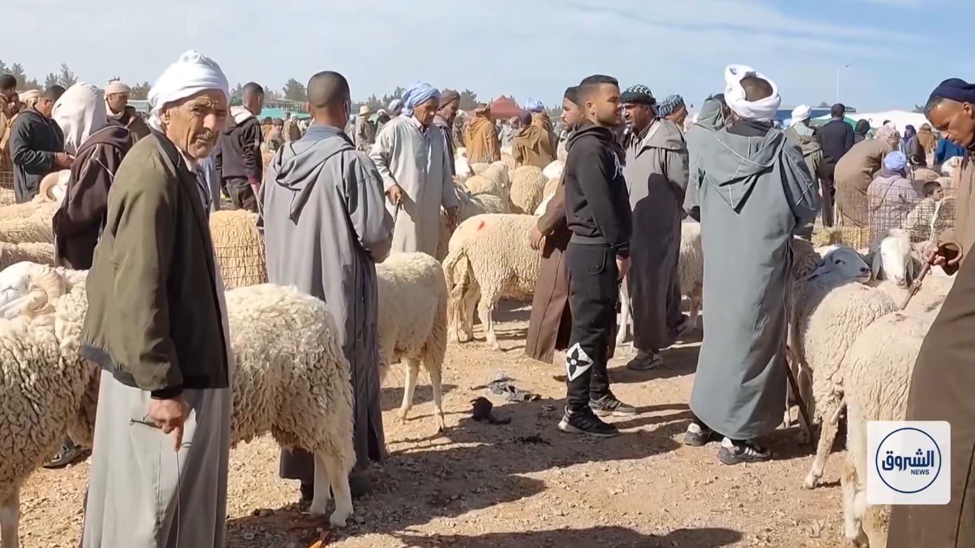 الجلفة.. حركية كبيرة بسوق حاسي بحبح للمواشي وسط تباين في الأسعار