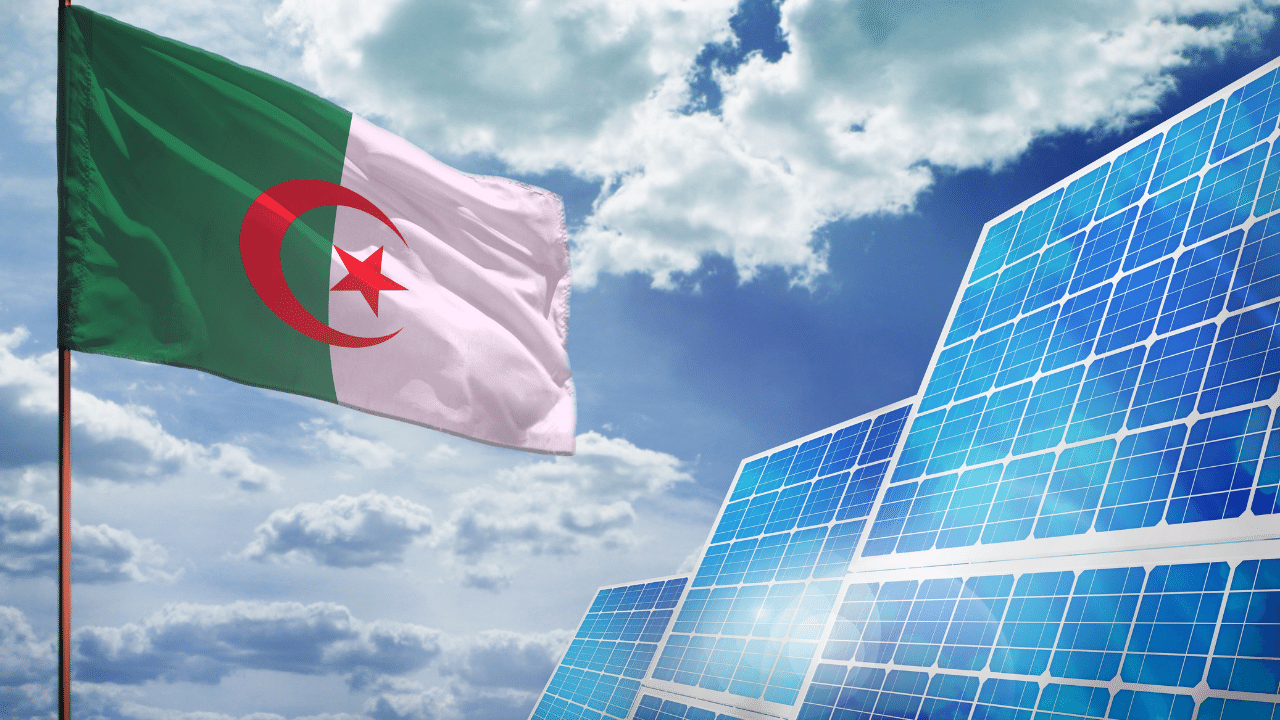 الجزائر تستورد كميات ضخمة من ألواح الطاقة الشمسية