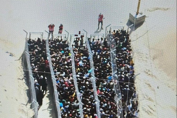 دولة الاحتلال تُعيد سيناريو النازية بالإبادة الجماعية ومعسكرات التجويع