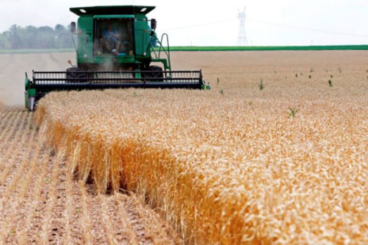 The Expected Results of the Italian “BF” Project in Algeria