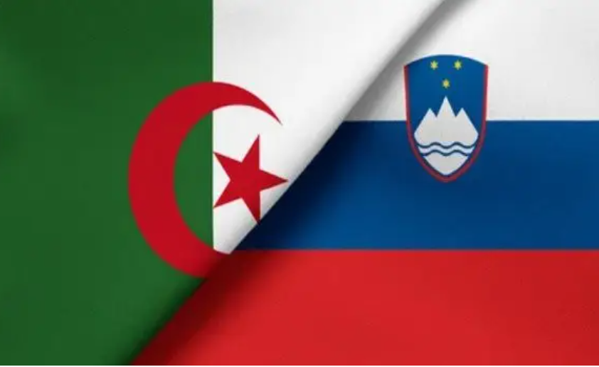 وزير الصحة ووزير العمل في زيارة رسمية إلى سلوفينيا