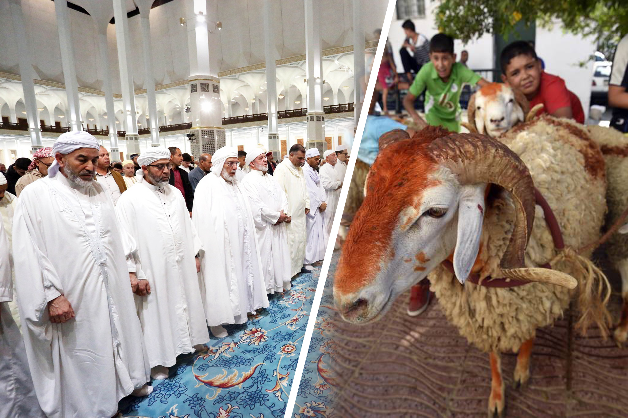 سقوط صلاة الجمعة إذا وافقت يوم العيد.. وزارة الشؤون الدينية تفصل