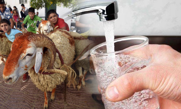 برنامج خاص لتأمين المياه خلال عيد الأضحى