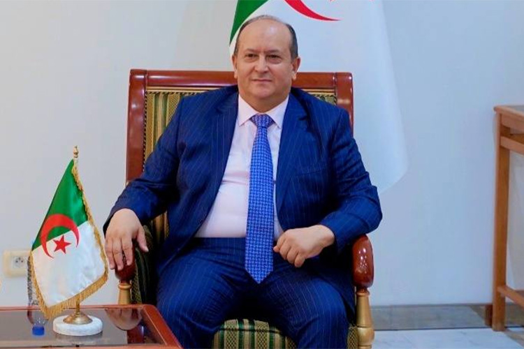 إعداد دليل استراتيجي للصناعة الوطنية