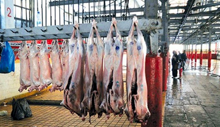 مذابح عصرية لتنظيم عمليات ذبح الأضاحي