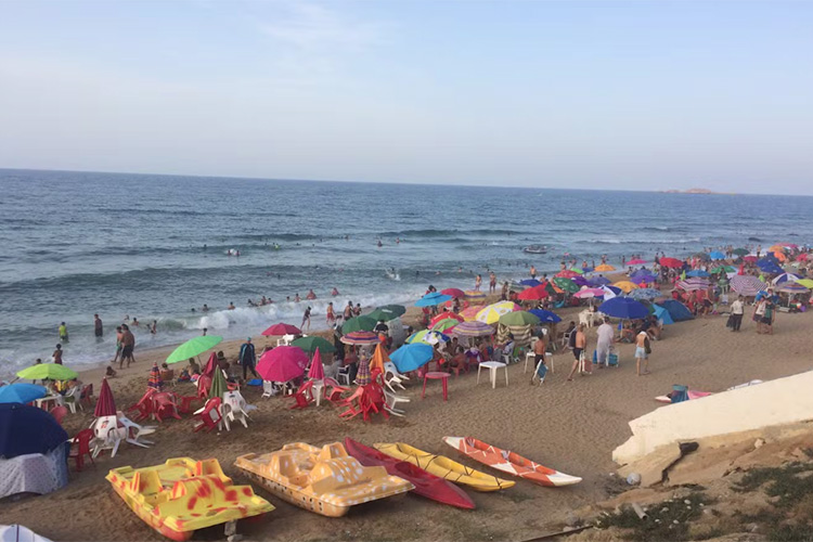 1200 مليار لتجهيز الشواطئ والمحيط الساحلي