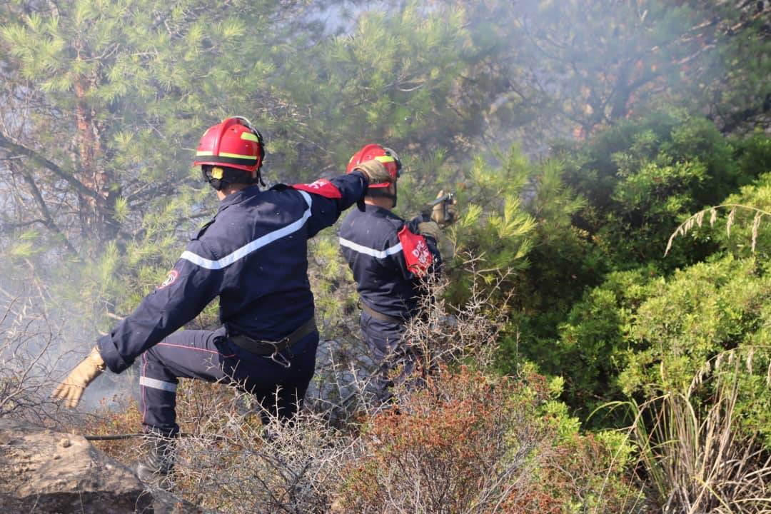 الحماية المدنية: إخماد 13 حريق غابات عبر 7 ولايات
