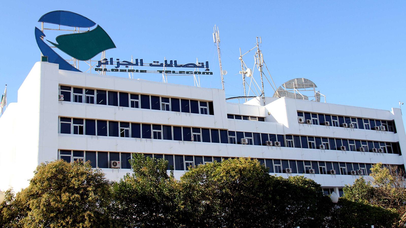 إطلاق استمارة رقمية لإحصاء المناطق غير المغطاة بالألياف البصرية