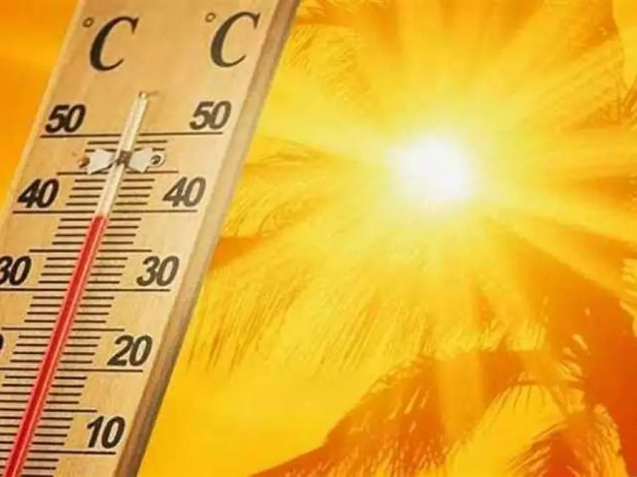 Vague de chaleur sur plusieurs wilayas du pays