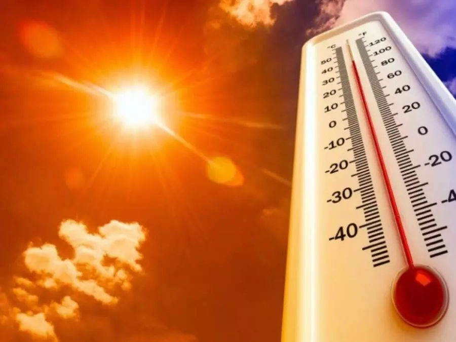 Canicule attendue à partir de jeudi sur quatre wilayas du Sud