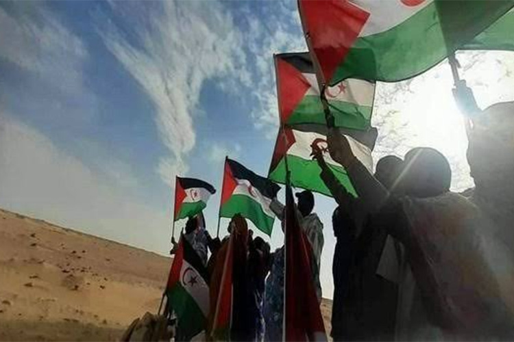 تواصل الإدانات لطرد المراقبين الدوليين من الصحراء الغربية المحتلة