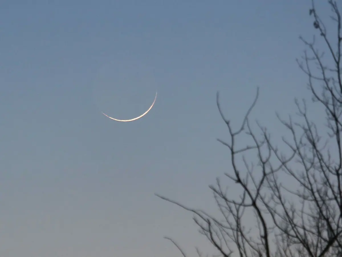 دول عربية تعلن موعد المولد النبوي الشريف