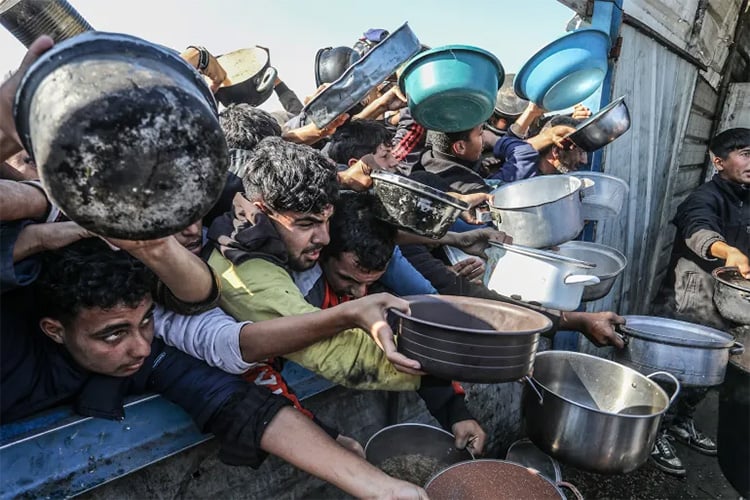 نصف مليون مواطن في المرحلة الخامسة من الجوع