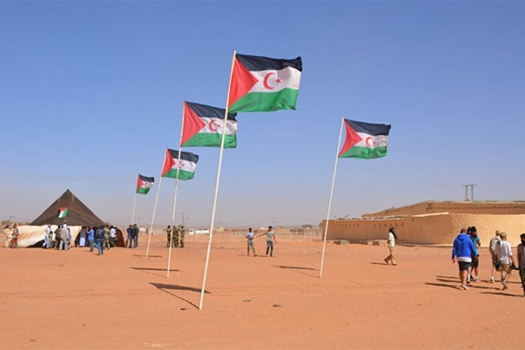 دعوى قضائية ضد الشركات الفرنسية الناشطة في الصحراء الغربية
