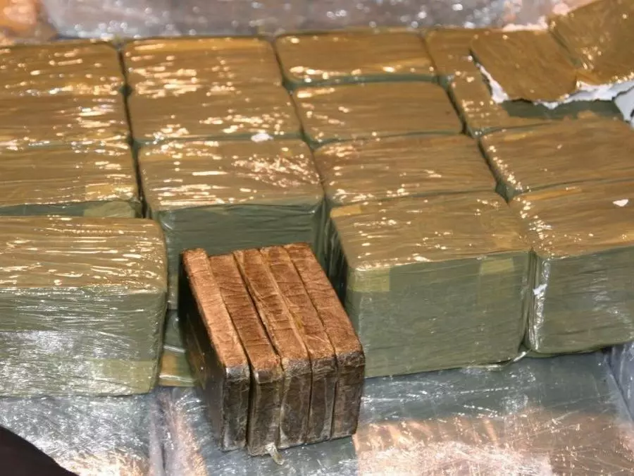 Plus de 2 tonnes de cannabis et plus de 5 millions de comprimés psychotropes saisis durant le deuxième trimestre de 2025