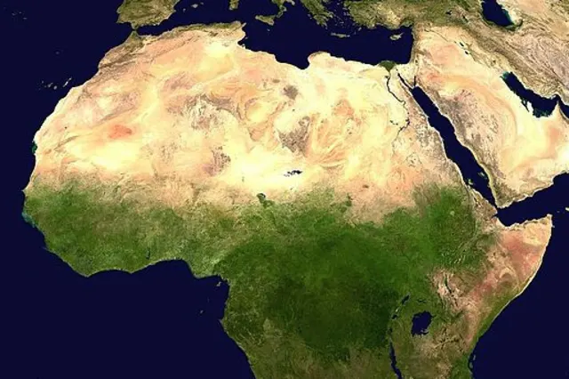 لا شجاعة قلوب ولا شجاعة عقول