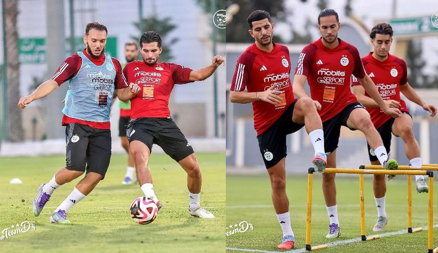لاعبو الخضر يرفعون التحدي ويصرون على حسم التأهل