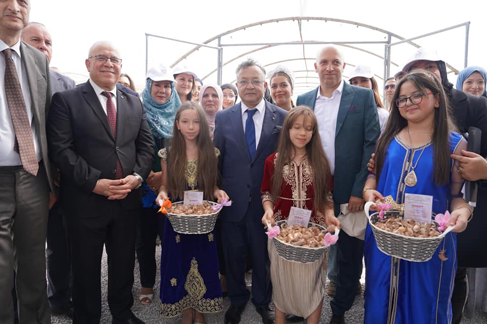 إطلاق الاستراتيجية الوطنية لتطوير إنتاج الزعفران في الجزائر