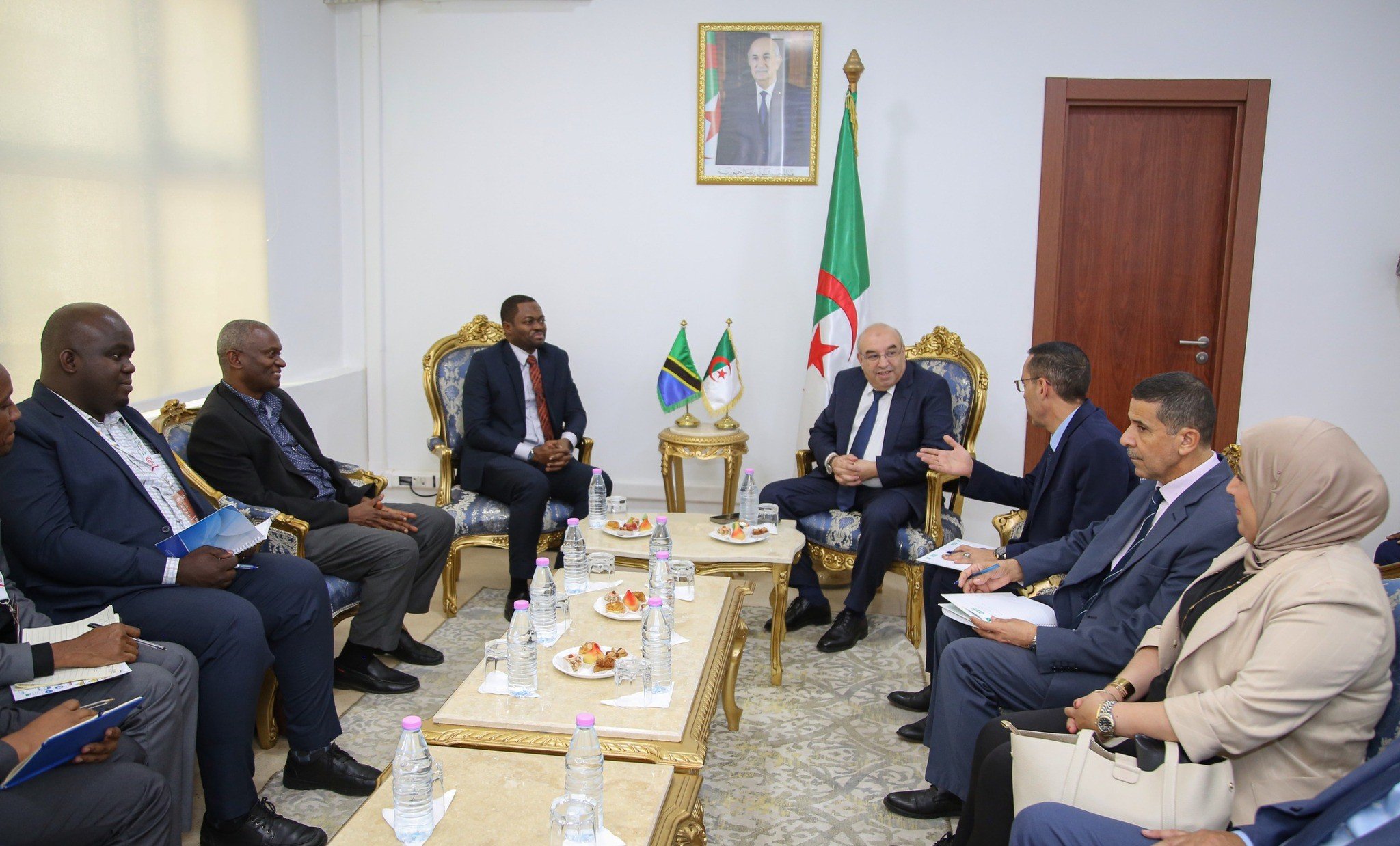 وزير الصناعة الصيدلانية يبحث فرص الشراكة مع سفير تنزانيا