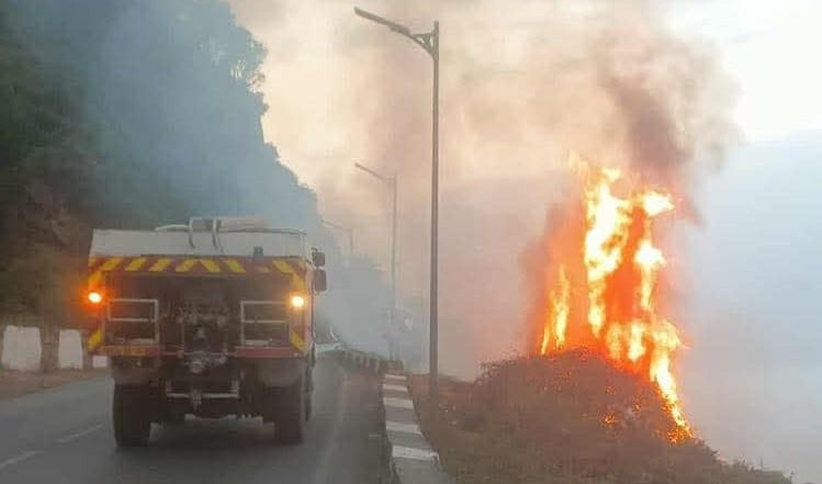 الحماية المدنية: إخماد 10 حرائق غابية عبر 8 ولايات