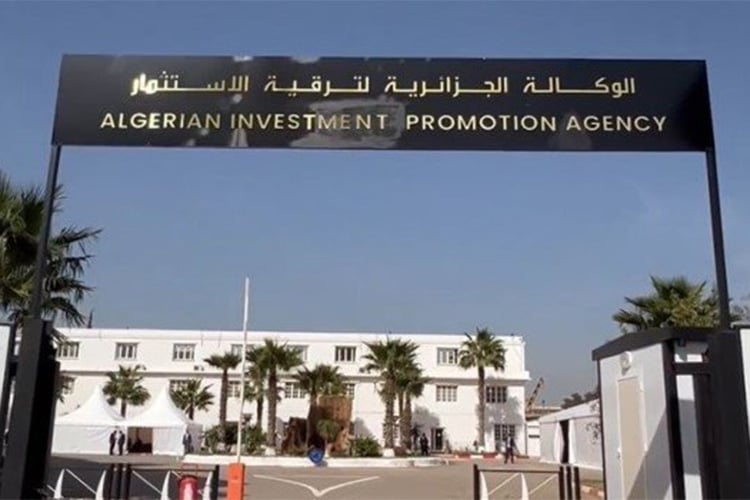 تسجيل أكثر من 16 ألف مشروع استثماري في الجزائر